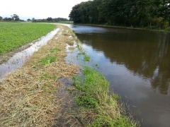 Hoog water in de Bielheimerbeek
